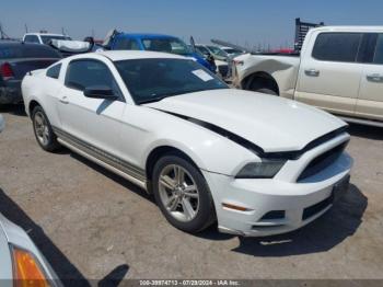  Salvage Ford Mustang