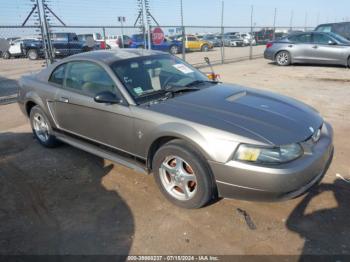  Salvage Ford Mustang