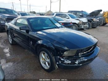  Salvage Ford Mustang