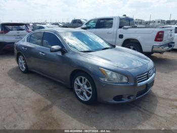  Salvage Nissan Maxima