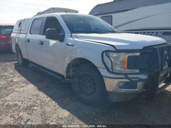  Salvage Ford F-150