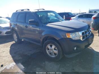  Salvage Ford Escape