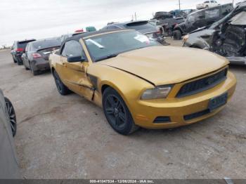  Salvage Ford Mustang