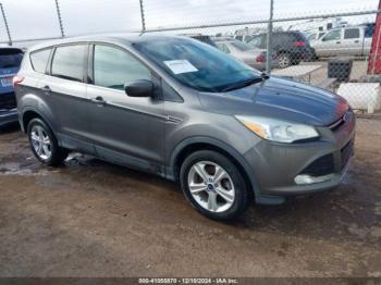  Salvage Ford Escape