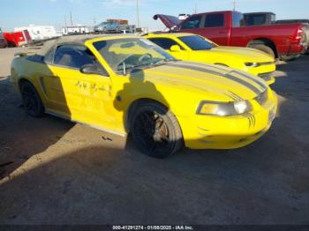  Salvage Ford Mustang