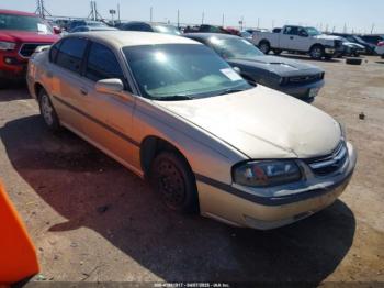  Salvage Chevrolet Impala