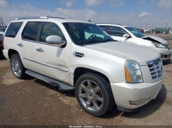  Salvage Cadillac Escalade