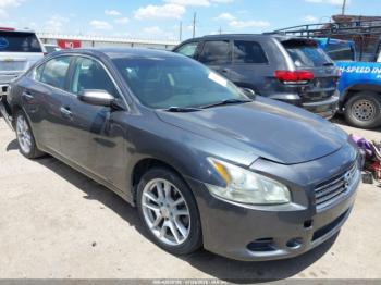  Salvage Nissan Maxima