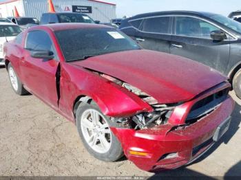  Salvage Ford Mustang