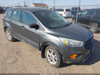  Salvage Ford Escape