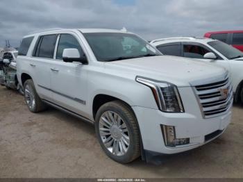 Salvage Cadillac Escalade