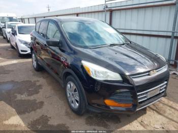  Salvage Ford Escape