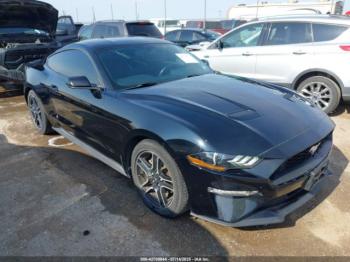  Salvage Ford Mustang