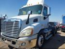 Freightliner Cascadia 113 Image 5