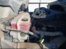 Freightliner Cascadia 113 Image 6