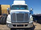 Freightliner Cascadia 113 Image 9