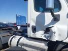 Freightliner Cascadia 113 Image 8