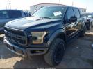 Ford F-150 Raptor Image 12