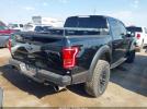 Ford F-150 Raptor Image 16