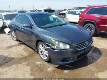  Salvage Nissan Maxima