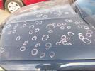 BMW 3 Series Image 4