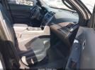 Ford Police Interceptor Image 13