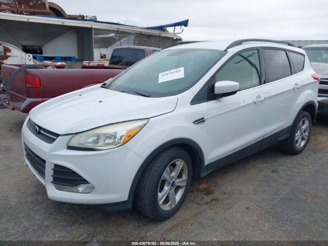 Ford Escape Se Image 8
