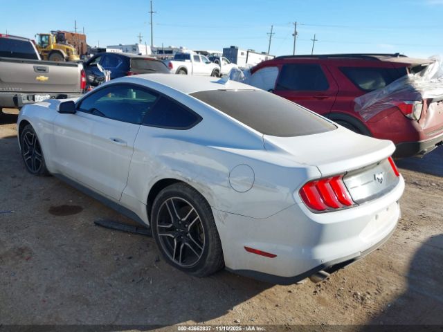 Ford Mustang Ecoboost Fastback Image 16