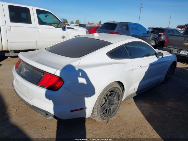Ford Mustang Ecoboost Fastback Image 14