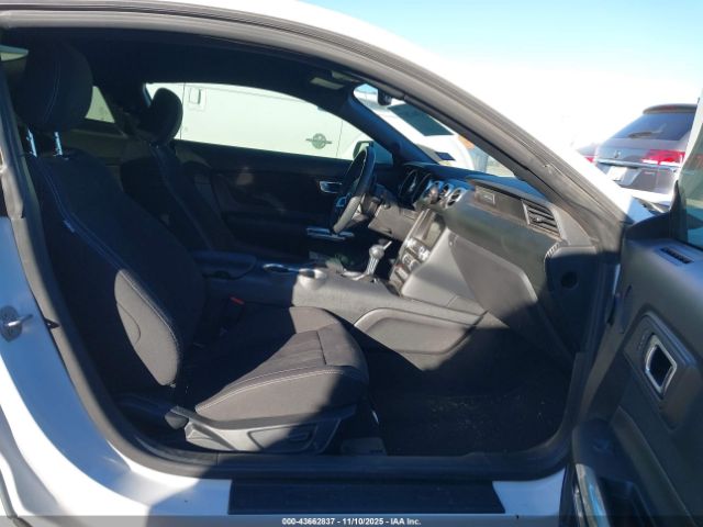 Ford Mustang Ecoboost Fastback Image 2