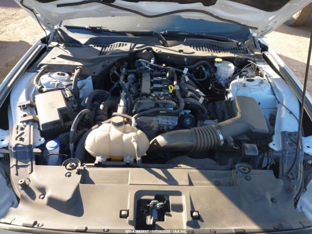 Ford Mustang Ecoboost Fastback Image 8