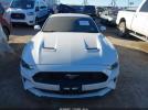 Ford Mustang Ecoboost Fastback Image 15