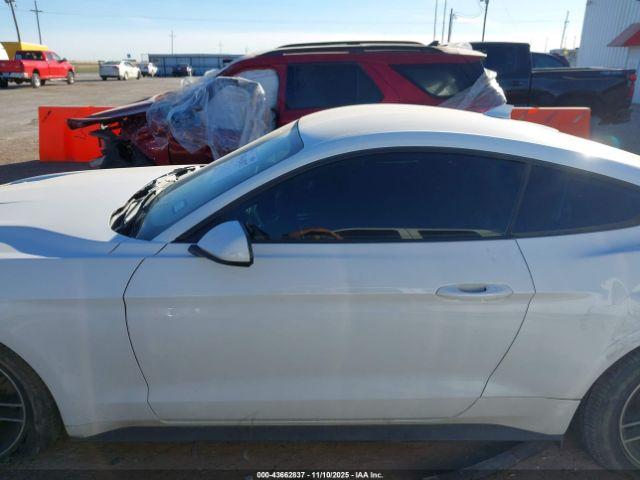 Ford Mustang Ecoboost Fastback Image 12