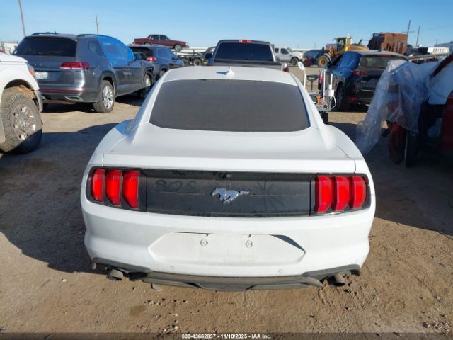Ford Mustang Ecoboost Fastback Image 11