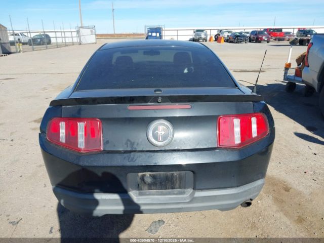 Ford Mustang Image 7
