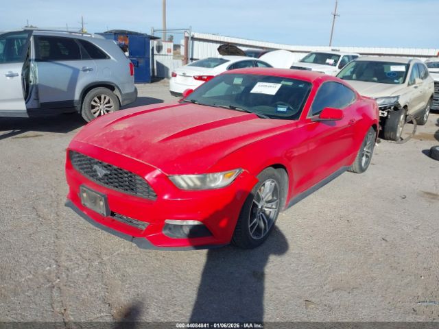 Ford Mustang Ecoboost Image 8