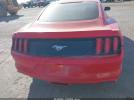 Ford Mustang Ecoboost Image 5