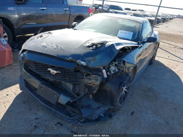 Ford Mustang Ecoboost Image 15