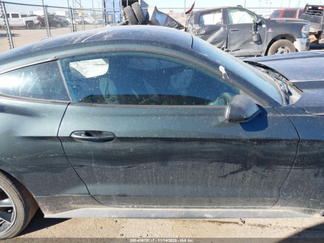 Ford Mustang Ecoboost Image 13