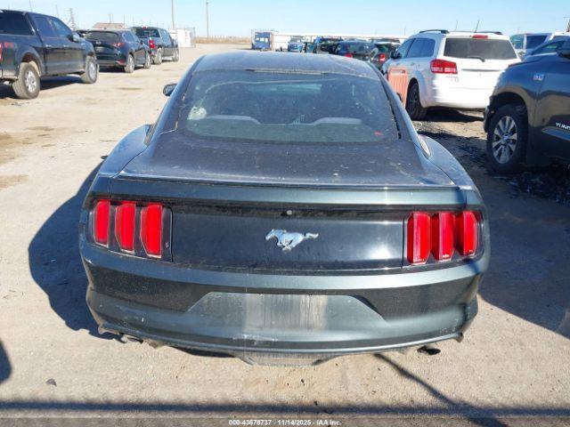 Ford Mustang Ecoboost Image 16